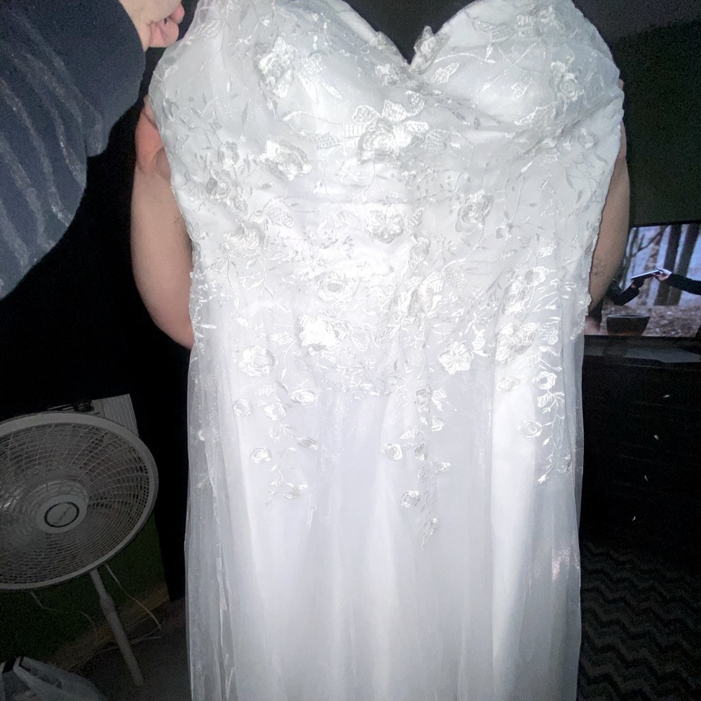 Wedding Dress & Veil